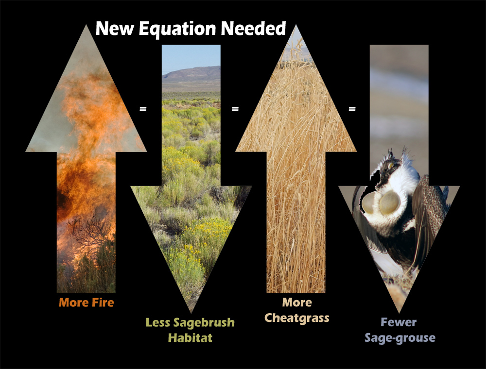 graphic of a new equation to break the cheatgrass cycle